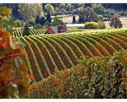 Wine Country Wine Country